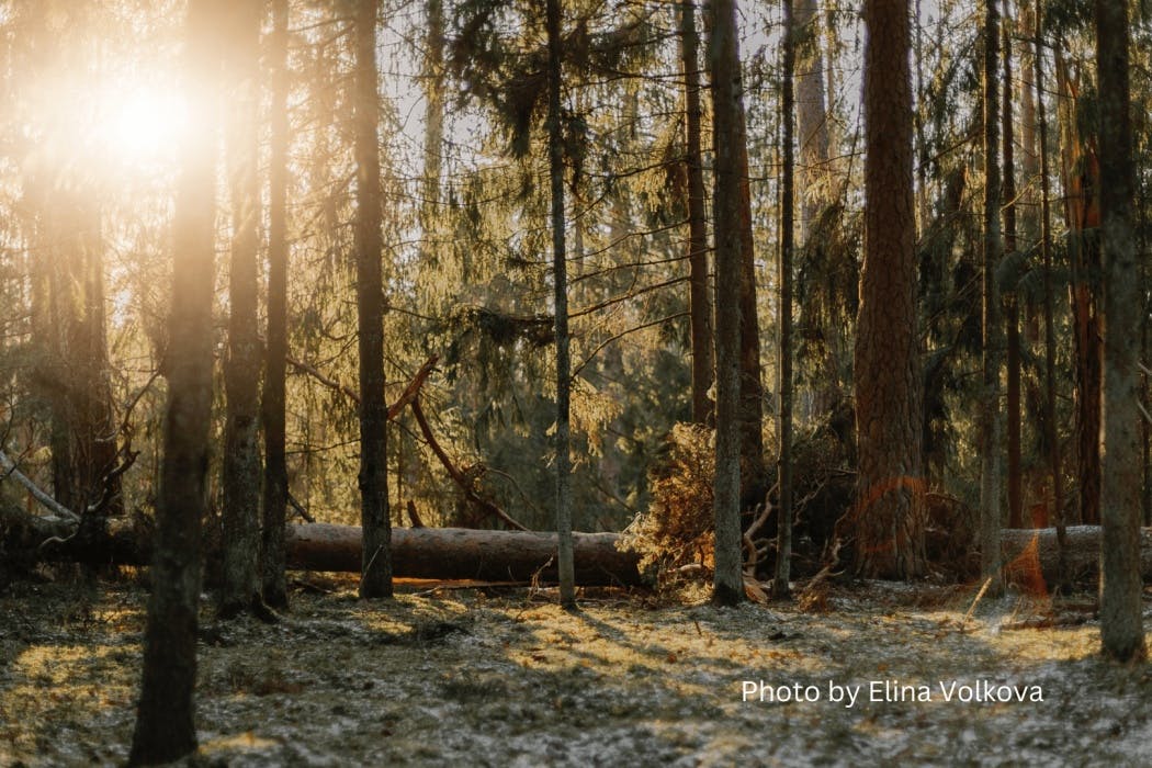 Pagi atau Malam? Kapan yang Paling Enak Buat Belajar?